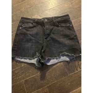Judy Blue Black Jean Shorts
